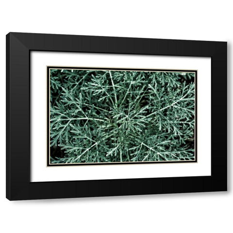 Greenery Closeup Black Modern Wood Framed Art Print with Double Matting by Catterall, Elise