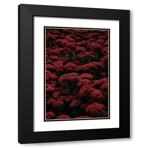 Sedum Black Modern Wood Framed Art Print with Double Matting by Catterall, Elise