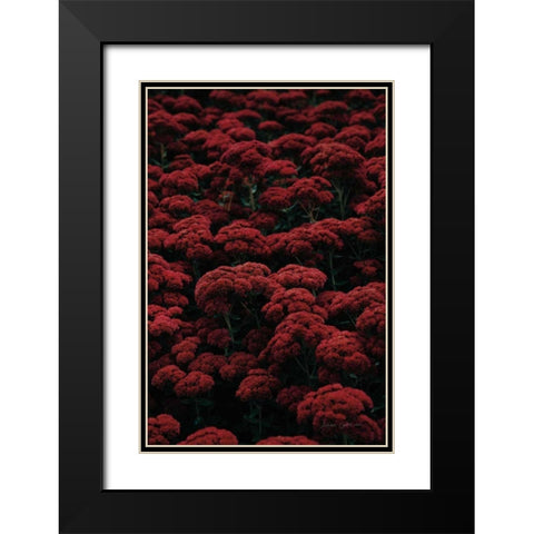 Sedum Black Modern Wood Framed Art Print with Double Matting by Catterall, Elise