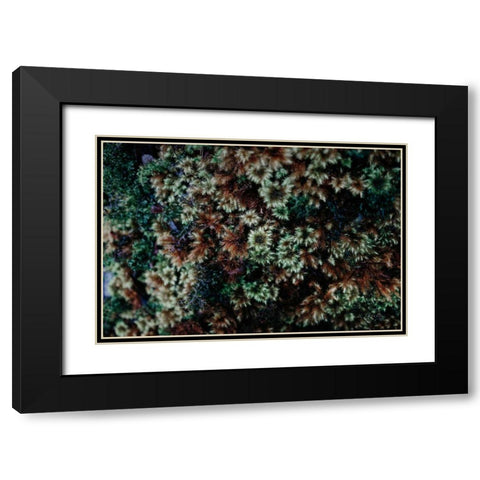 Moss Detail Black Modern Wood Framed Art Print with Double Matting by Catterall, Elise