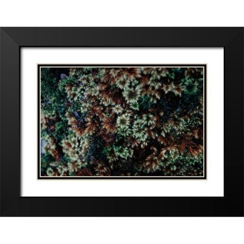 Moss Detail Black Modern Wood Framed Art Print with Double Matting by Catterall, Elise