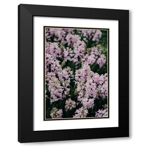 Hyacinth Closeup Black Modern Wood Framed Art Print with Double Matting by Catterall, Elise