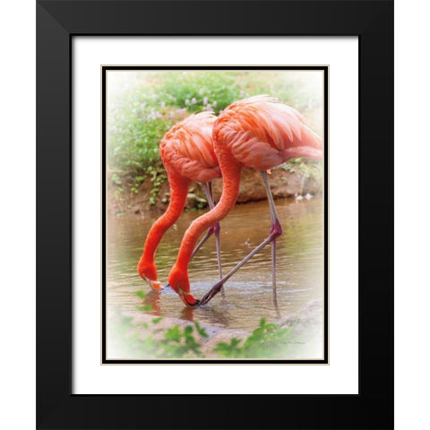 Two Flamingos Black Modern Wood Framed Art Print with Double Matting by Van Swearingen, Debra