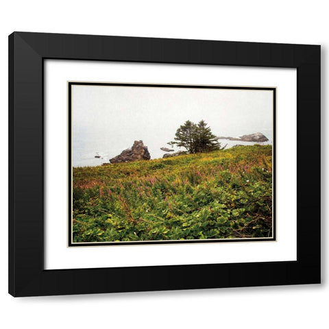 Oregon Coast Black Modern Wood Framed Art Print with Double Matting by Van Swearingen, Debra
