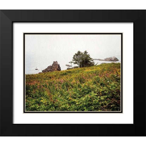 Oregon Coast Black Modern Wood Framed Art Print with Double Matting by Van Swearingen, Debra