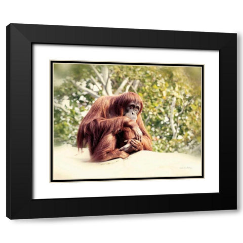 Orangutan Black Modern Wood Framed Art Print with Double Matting by Van Swearingen, Debra