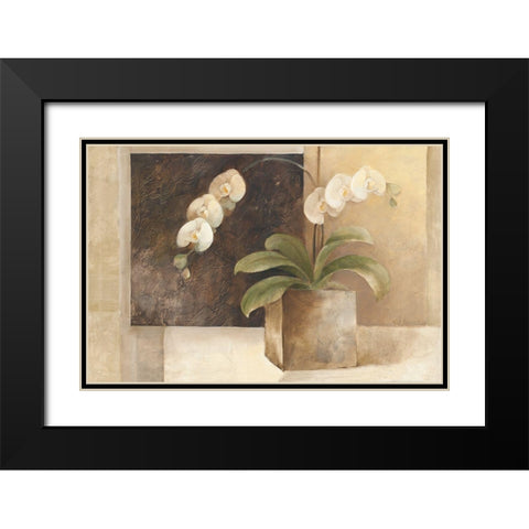 Contemporary Orchid Black Modern Wood Framed Art Print with Double Matting by Hristova, Albena