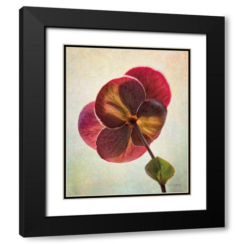 Lenton Rose II Black Modern Wood Framed Art Print with Double Matting by Van Swearingen, Debra