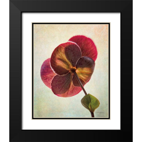 Lenton Rose II Black Modern Wood Framed Art Print with Double Matting by Van Swearingen, Debra