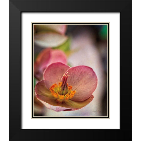 Lenton Rose III Black Modern Wood Framed Art Print with Double Matting by Van Swearingen, Debra