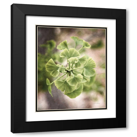 Sprouting Ginkgo II Black Modern Wood Framed Art Print with Double Matting by Van Swearingen, Debra