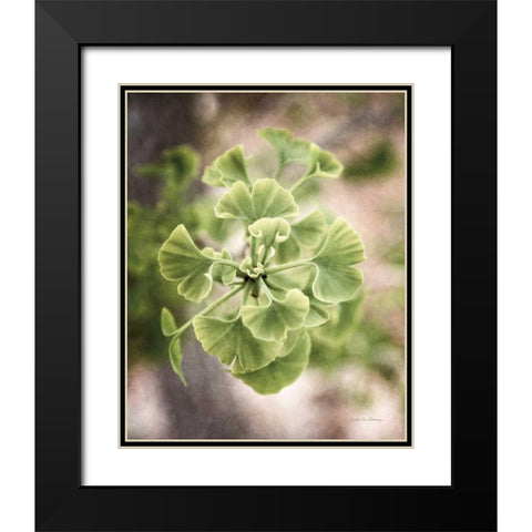 Sprouting Ginkgo II Black Modern Wood Framed Art Print with Double Matting by Van Swearingen, Debra