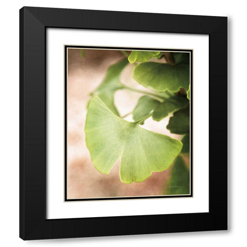 Sprouting Ginkgo III Black Modern Wood Framed Art Print with Double Matting by Van Swearingen, Debra