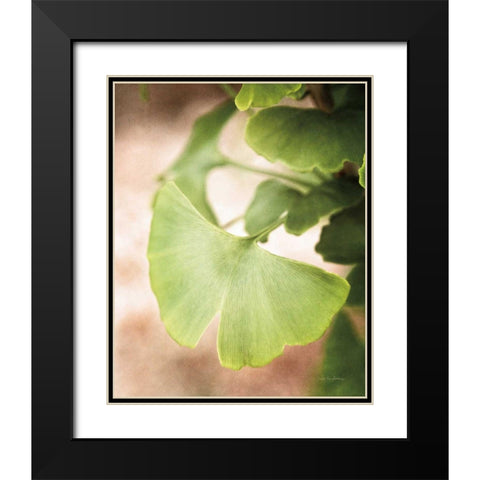 Sprouting Ginkgo III Black Modern Wood Framed Art Print with Double Matting by Van Swearingen, Debra