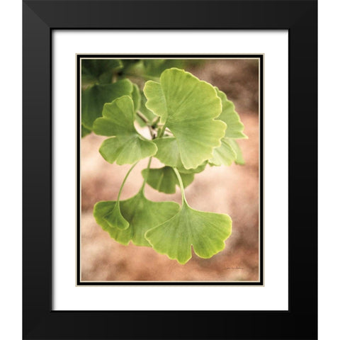 Sprouting Ginkgo IV Black Modern Wood Framed Art Print with Double Matting by Van Swearingen, Debra