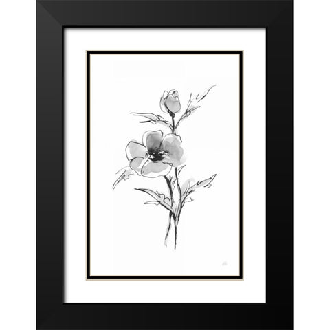 Wash Anemone I Black Modern Wood Framed Art Print with Double Matting by Paschke, Chris