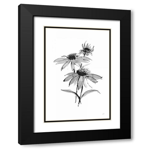 Wash Echinacea II Black Modern Wood Framed Art Print with Double Matting by Paschke, Chris