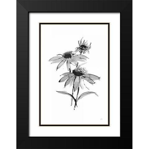 Wash Echinacea II Black Modern Wood Framed Art Print with Double Matting by Paschke, Chris