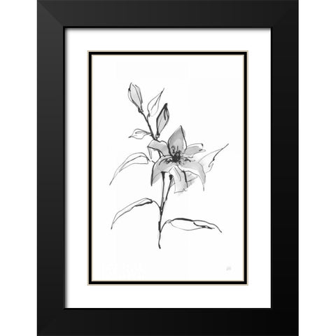 Wash Tiger Lily Black Modern Wood Framed Art Print with Double Matting by Paschke, Chris