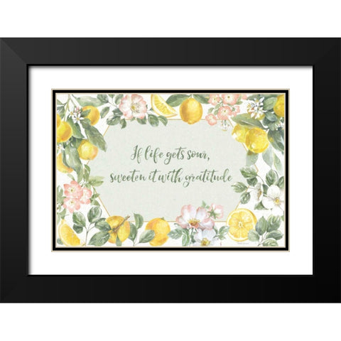 Citrus Charm I Black Modern Wood Framed Art Print with Double Matting by Grove, Beth