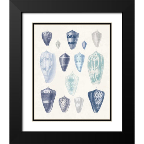 Blue Shell Assortment I Black Modern Wood Framed Art Print with Double Matting by Wild Apple Portfolio