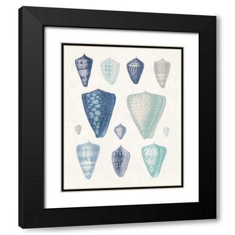 Blue Shell Assortment II Black Modern Wood Framed Art Print with Double Matting by Wild Apple Portfolio