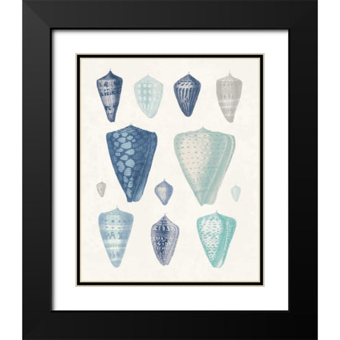 Blue Shell Assortment II Black Modern Wood Framed Art Print with Double Matting by Wild Apple Portfolio