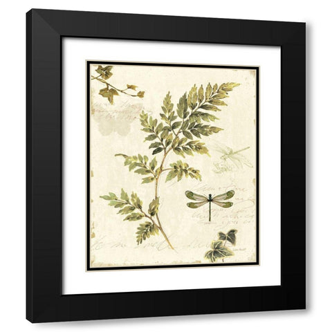 Ivies and Ferns III Black Modern Wood Framed Art Print with Double Matting by Audit, Lisa