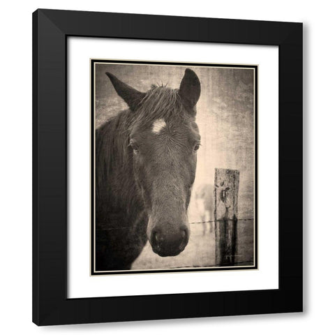 Heres Looking at You I Black Modern Wood Framed Art Print with Double Matting by Van Swearingen, Debra