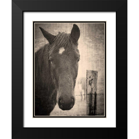Heres Looking at You I Black Modern Wood Framed Art Print with Double Matting by Van Swearingen, Debra