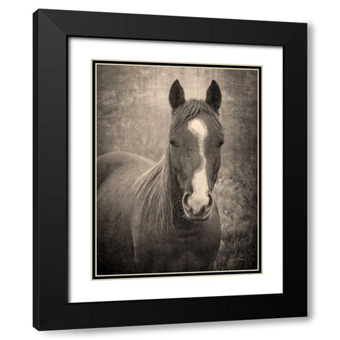 Heres Looking at You II Black Modern Wood Framed Art Print with Double Matting by Van Swearingen, Debra