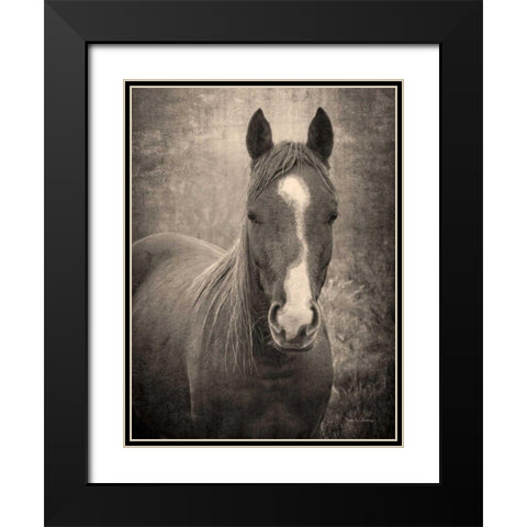Heres Looking at You II Black Modern Wood Framed Art Print with Double Matting by Van Swearingen, Debra