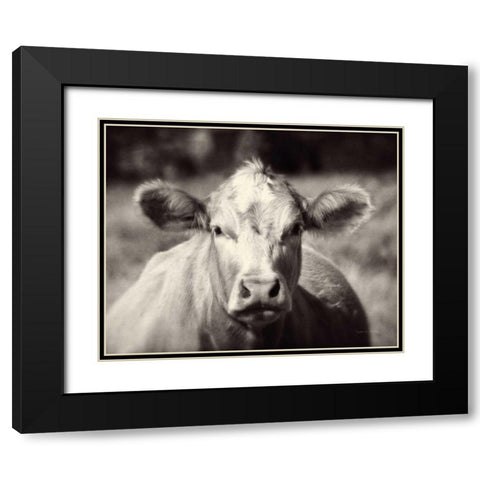 Pasture Cow Black Modern Wood Framed Art Print with Double Matting by Van Swearingen, Debra