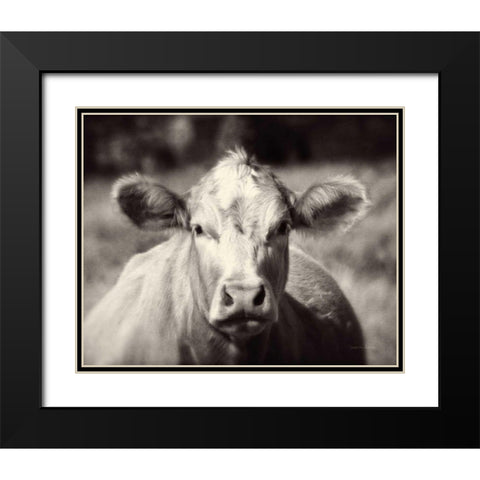 Pasture Cow Black Modern Wood Framed Art Print with Double Matting by Van Swearingen, Debra