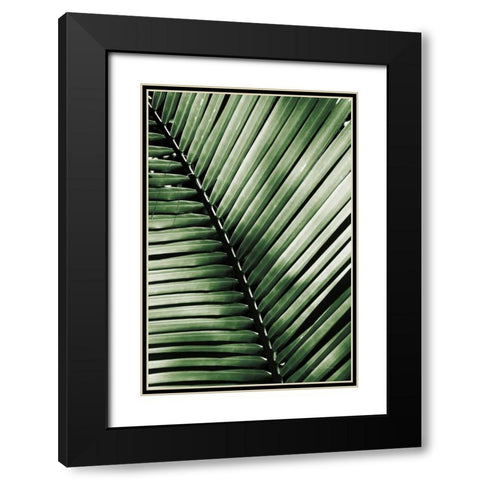 Palm Frond I Green Black Modern Wood Framed Art Print with Double Matting by Van Swearingen, Debra