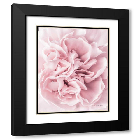 Pink Carnation Crop Black Modern Wood Framed Art Print with Double Matting by Catterall, Elise