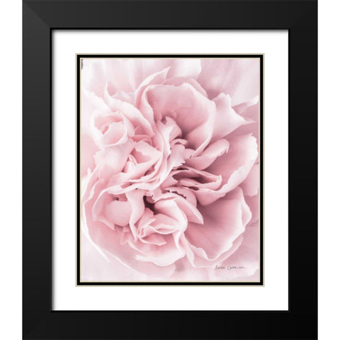 Pink Carnation Crop Black Modern Wood Framed Art Print with Double Matting by Catterall, Elise