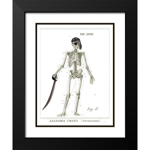 Dandy Bones Pirate Black Modern Wood Framed Art Print with Double Matting by Schlabach, Sue