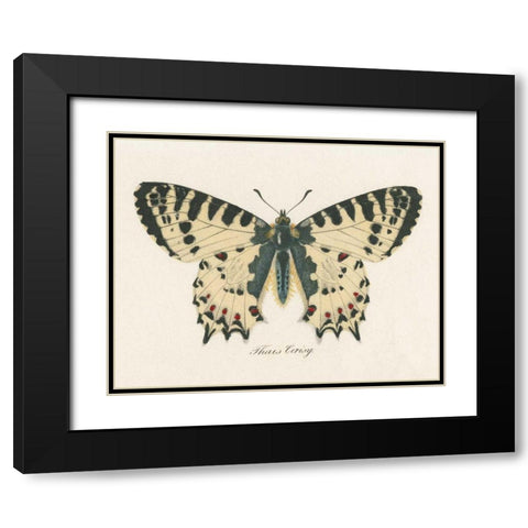 Natures Butterfly I Black Modern Wood Framed Art Print with Double Matting by Wild Apple Portfolio
