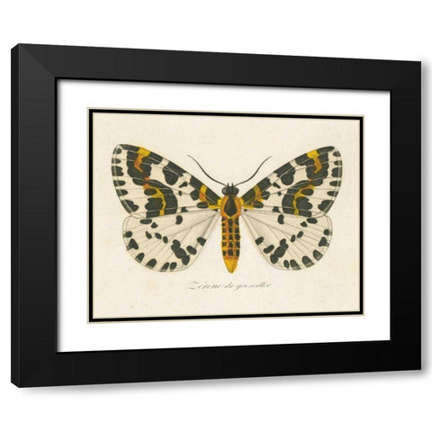 Natures Butterfly IV Black Modern Wood Framed Art Print with Double Matting by Wild Apple Portfolio