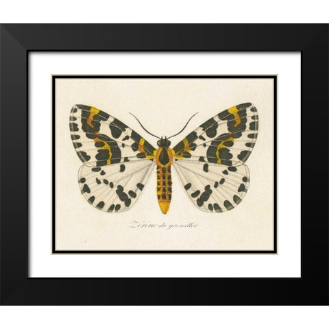Natures Butterfly IV Black Modern Wood Framed Art Print with Double Matting by Wild Apple Portfolio