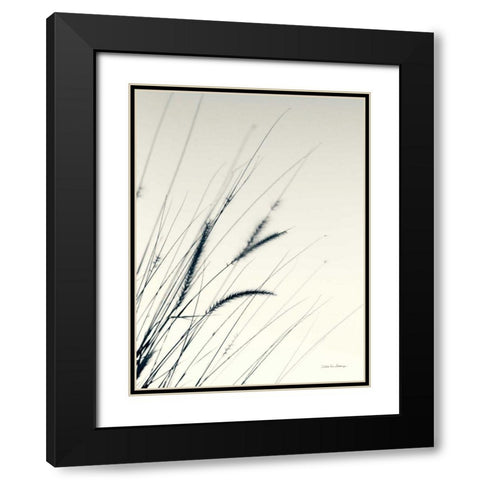 Field Grasses I Black Modern Wood Framed Art Print with Double Matting by Van Swearingen, Debra