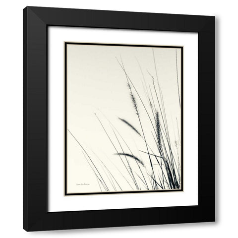 Field Grasses II Black Modern Wood Framed Art Print with Double Matting by Van Swearingen, Debra