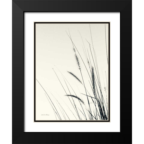 Field Grasses II Black Modern Wood Framed Art Print with Double Matting by Van Swearingen, Debra