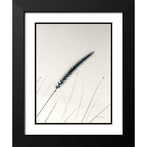 Field Grasses V Black Modern Wood Framed Art Print with Double Matting by Van Swearingen, Debra
