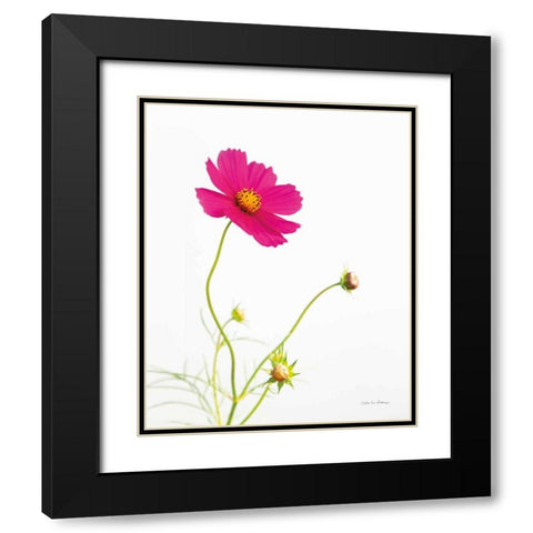 Magenta Cosmos I Black Modern Wood Framed Art Print with Double Matting by Van Swearingen, Debra