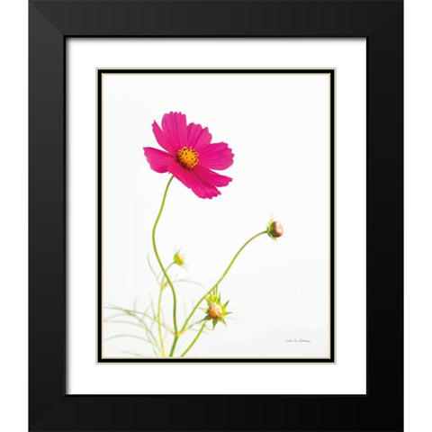 Magenta Cosmos I Black Modern Wood Framed Art Print with Double Matting by Van Swearingen, Debra