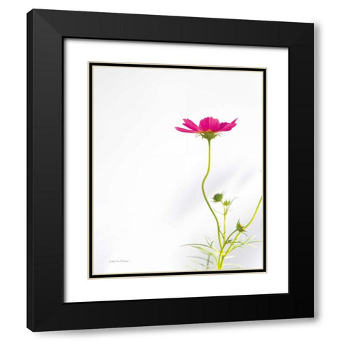 Magenta Cosmos II Black Modern Wood Framed Art Print with Double Matting by Van Swearingen, Debra