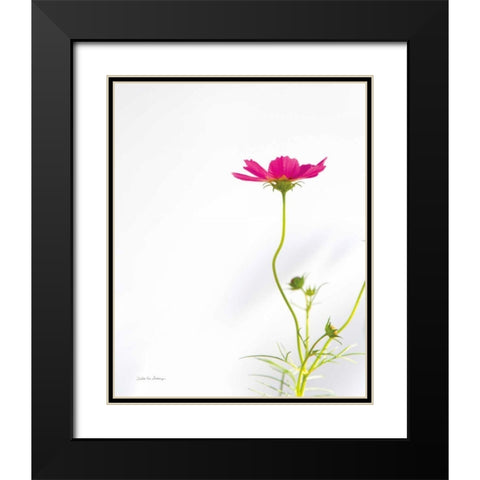 Magenta Cosmos II Black Modern Wood Framed Art Print with Double Matting by Van Swearingen, Debra