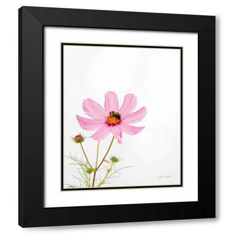 Pale Cosmos II Black Modern Wood Framed Art Print with Double Matting by Van Swearingen, Debra